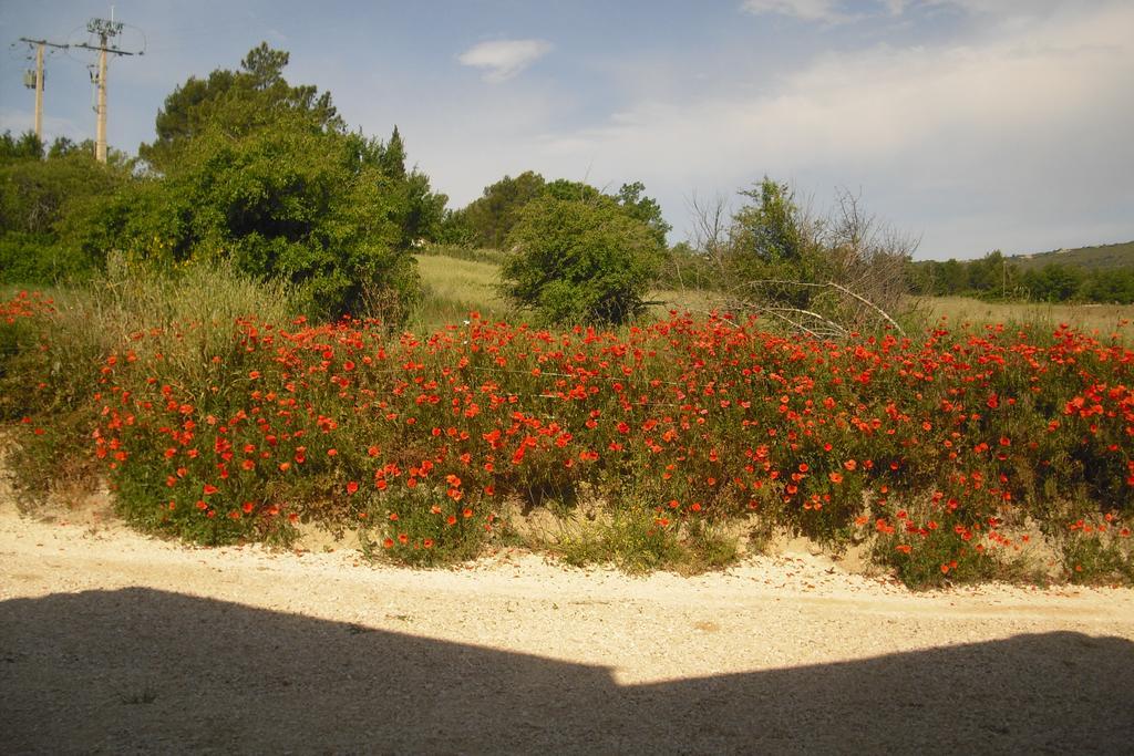 Apartamento Lou Mas Li Pitchoun "La Bergerie" Gordes Exterior foto